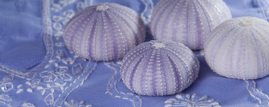 Opleiding en scholing