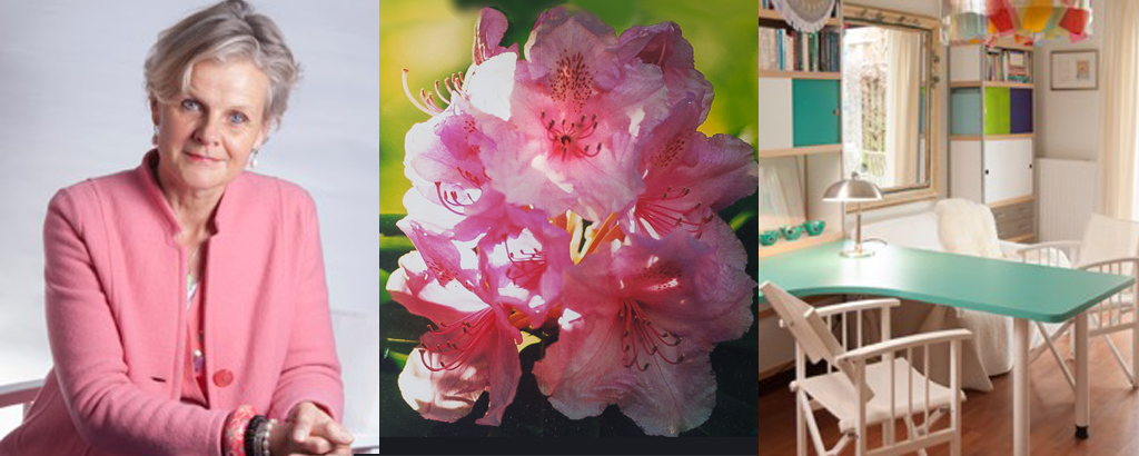 Algemene voorwaarden